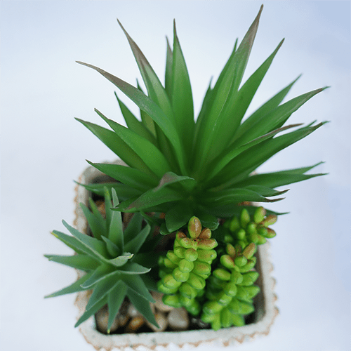 Artificial Mixed Succulent 20 CM