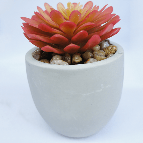 Artificial Red Succulent Plants 14 CM