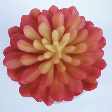 Artificial Red Succulent Plants 14 CM