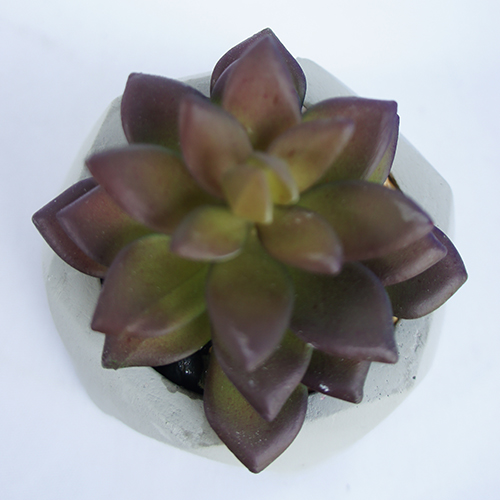 Artificial Plastic Mini Succulent Plants For Desktop Decoration 10CM