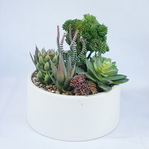 Artificial Succulent Plant Arrangement For Office Decoration 18CM