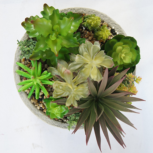 Artificial Mini Succulent Plant In White Ceramic Pot 25CM