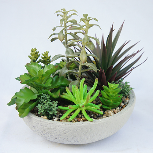 Artificial Mini Succulent Plant In White Ceramic Pot 25CM