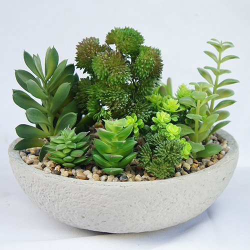Artificial Lifelike Succulent Plant Bonsai 18CM