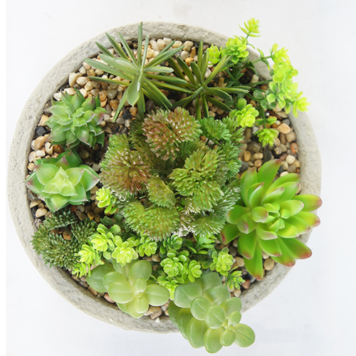 Artificial Lifelike Succulent Plant Bonsai 18CM