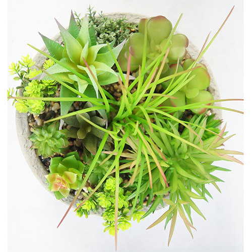 Artificial Green Succulent Plant 25CM