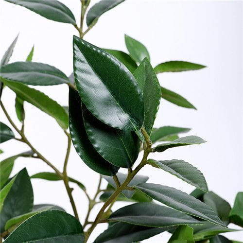 Artificial Bay Laurus Tree, With Ceramic Pots