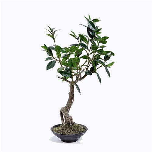 Artificial Bay Laurus Tree, With Ceramic Pots