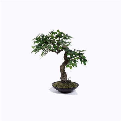 Artificial Ficus Plant, Artificial Ficus Benjamina Tree