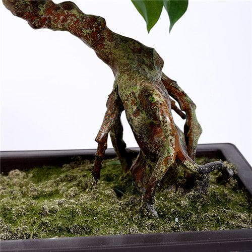 Artificial Fortune Tree Bonsai Artificial Fortune Tree Bonsai