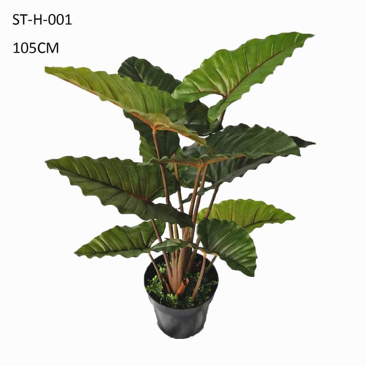Faux Colocasia Tonoimo, Ten Leaves