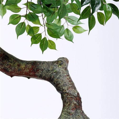 Plastic Ficus Plant, 100CM, Curved Trunk Plastic Ficus Plant, 100CM, Curved Trunk