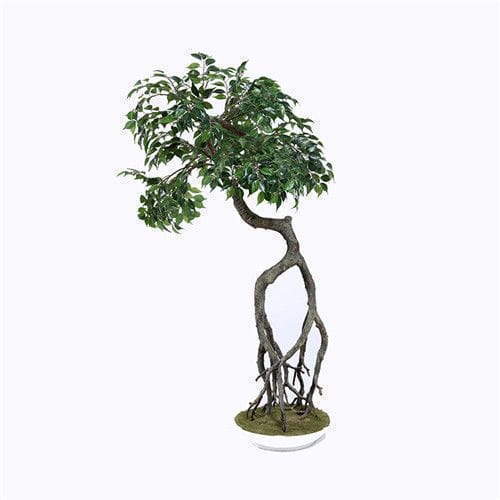 Plastic Ficus Plant, 100CM, Curved Trunk