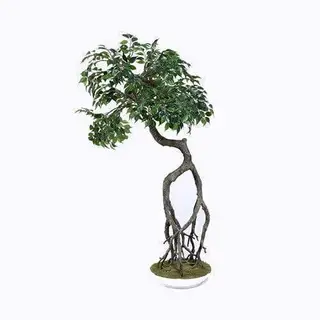 Plastic Ficus Plant, 100CM, Curved Trunk
