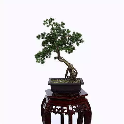 Artificial Pine Bonsai, Plastic Leaf, 55CM