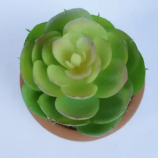 Faux Succulents Plant Lovely Mixed 9 CM