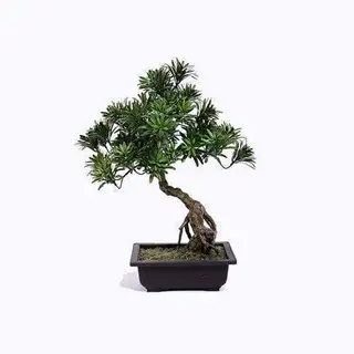 Artificial Buddhist Pine Bonsai, Home Decoration