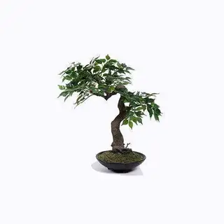 Artificial Ficus Plant, Artificial Ficus Benjamina Tree