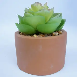Faux Succulents Plant Lovely Mixed 9 CM