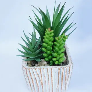 Artificial Mixed Succulent 20 CM