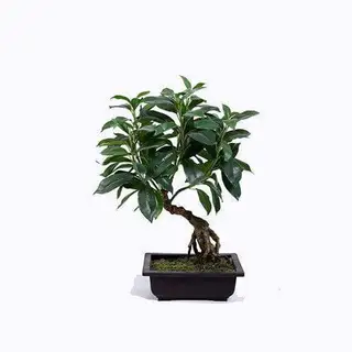 Artificial Fortune Tree Bonsai