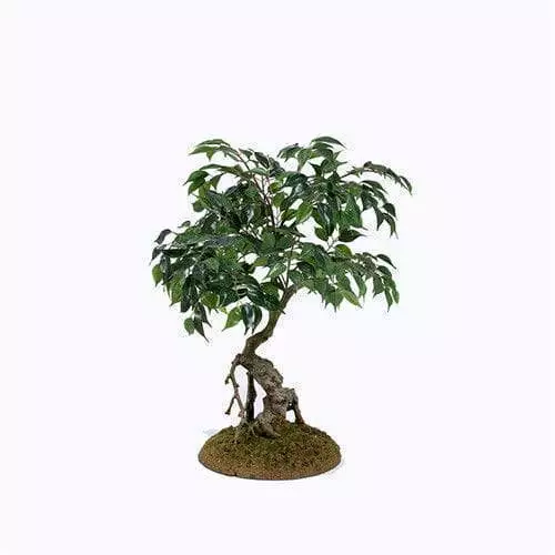 Artificial Ficus Bonsai, Whisper Leaves, 50CM