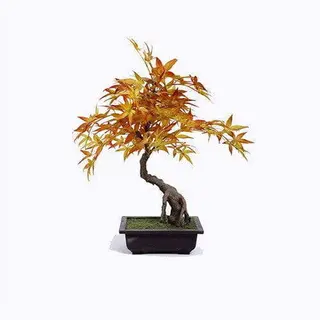 Silk Potted Maple Tree