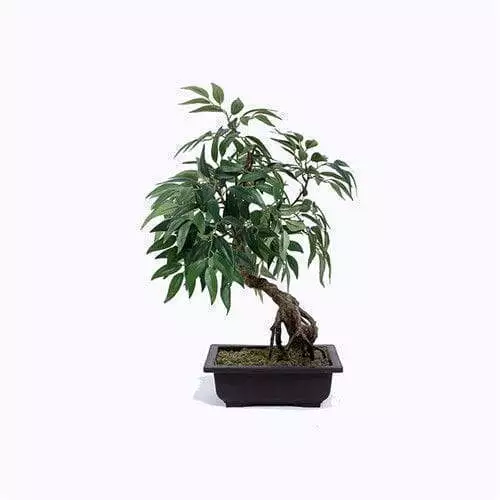 Faux Tree Bonsai, Black Plastic Base