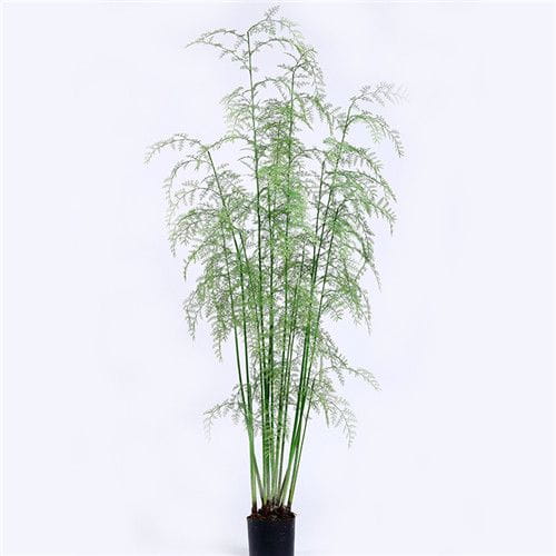 Faux Tropical Ferns Bonsai, Ferns Tree, Plastic Base, 210CM