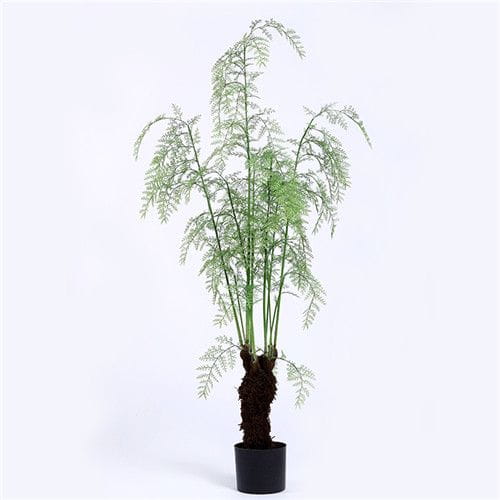 High Quality Artificial Ferns Bonsai, In Pot, 210CM