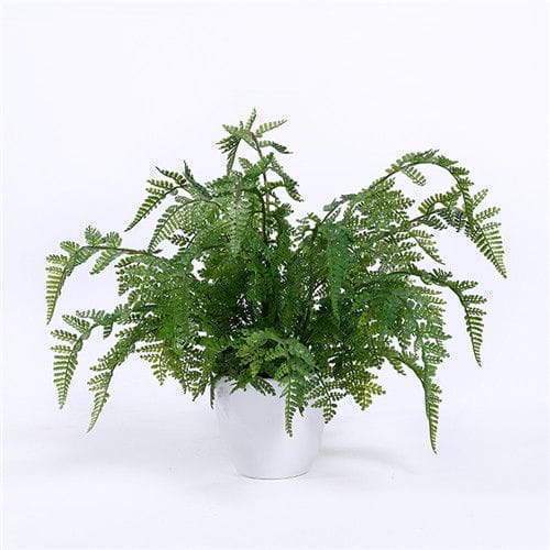 Artificial Fern Plants