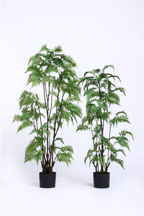 Artificial Ferns