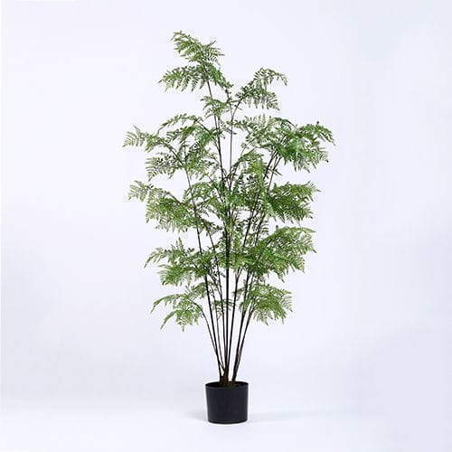 Artificial Lady Fern, Artificial Lady Fern Plant, Custom Size
