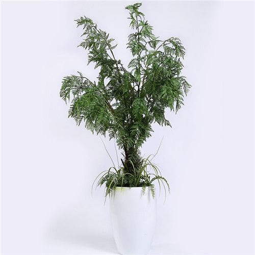 Artificial Potted Fern