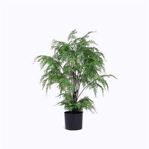 Faux Fern Bush