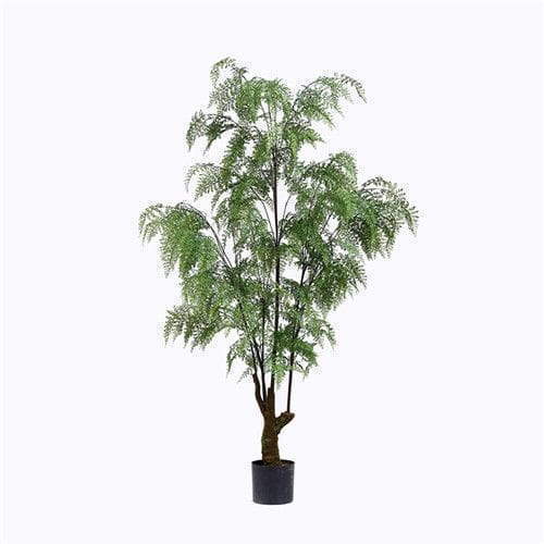 Plastic Boston Ferns