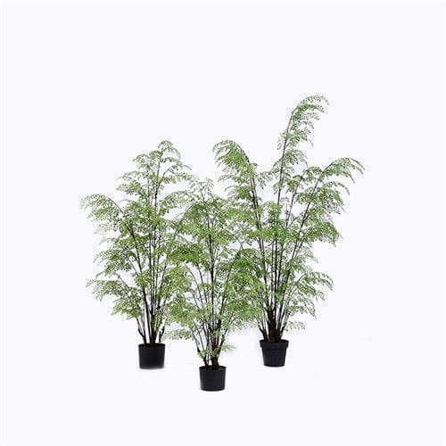 Plastic Fern Plants, 180CM, Multi Stems, Custom Design