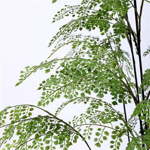 Plastic Ferns Plastic Ferns