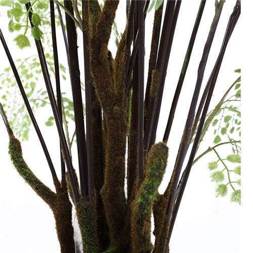 Plastic Ferns Plastic Ferns