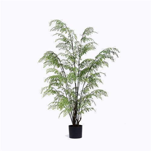 Plastic Ferns Plant With A Pot