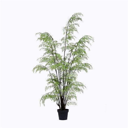 Plastic Ferns