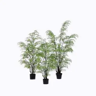 Plastic Fern Plants, 180CM, Multi Stems, Custom Design