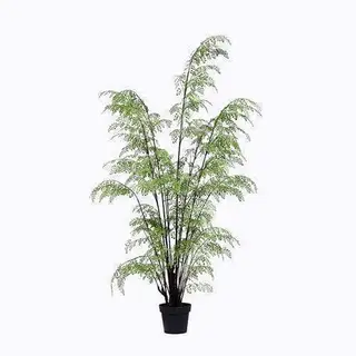 Plastic Ferns