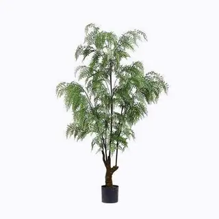 Plastic Boston Ferns