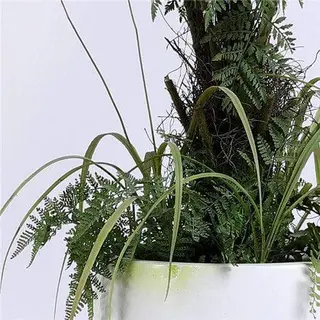Artificial Potted Fern