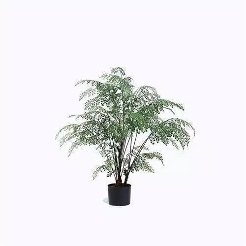 Artificial Fern in Pot, Plastic Material and Base