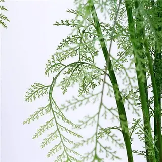 Faux Fern Plant