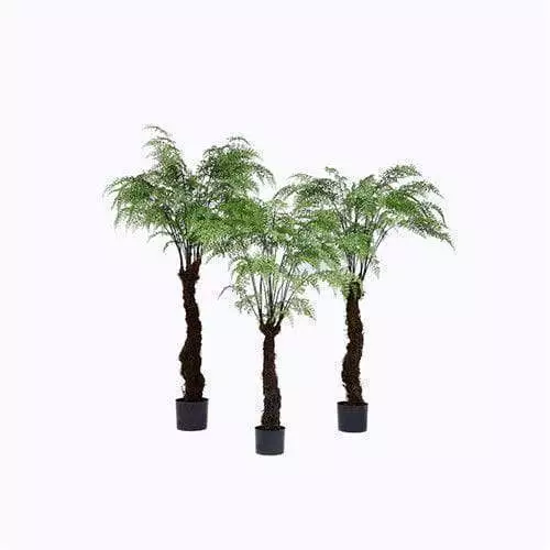 Faux Fern Palm Tree, Made of Plastic or Silk Material
