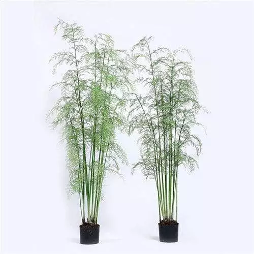 Artificial Ferns for Outdoors, 210CM, Plastic Material
