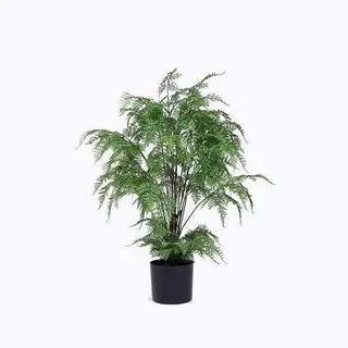 Faux Fern Bush